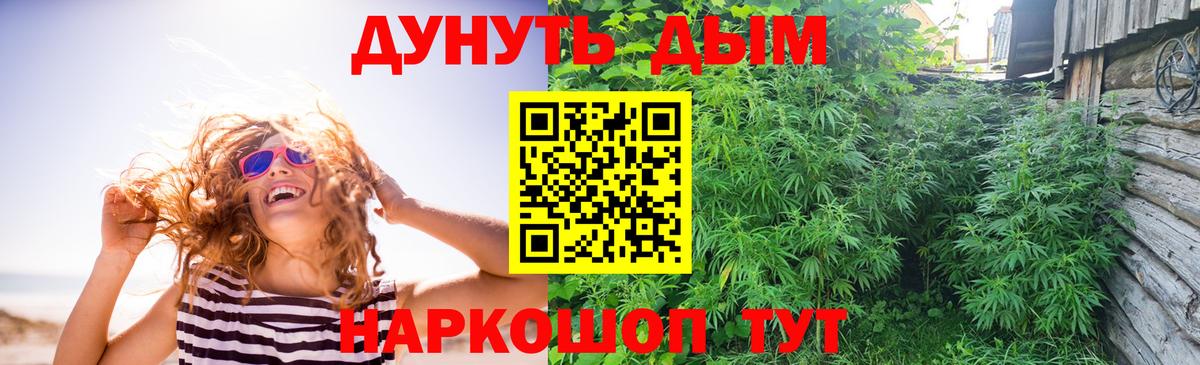 Каннабис SATIVA & INDICA Хасавюрт